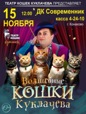"Волшебные кошки". Владимира Куклачева