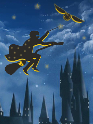 Гарри Поттер: Путешествие в Хогвартс 