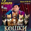 "Волшебные кошки". Владимира Куклачева